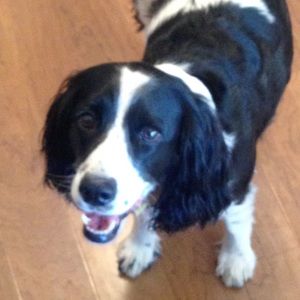 Meet your Posher, Candice